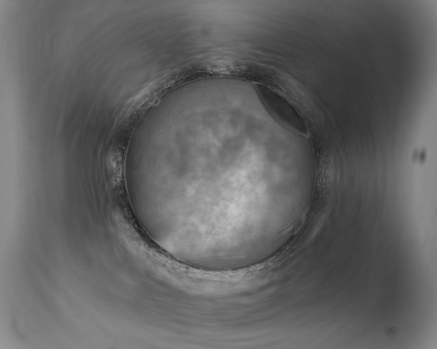 X0000111940043200907271423