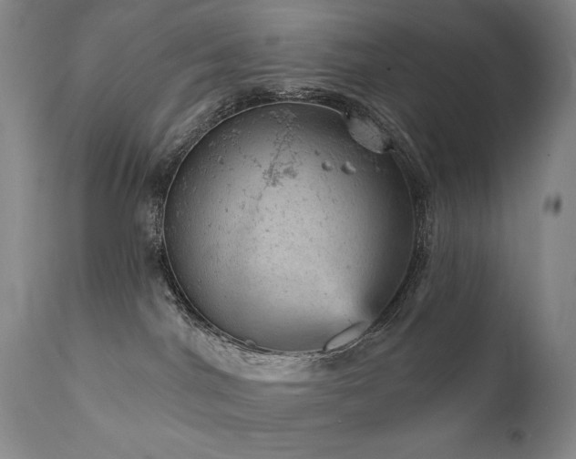 X0000111940044200907271423