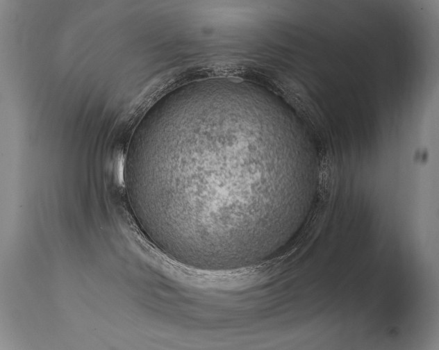 X0000111940046200907271423