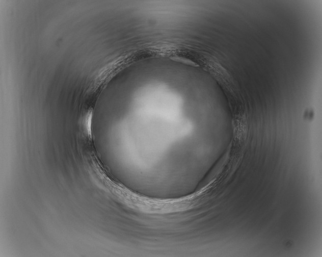 X0000111940047200907271423