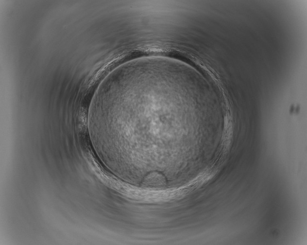 X0000111940048200907271423