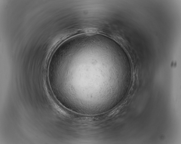 X0000111940049200907271422