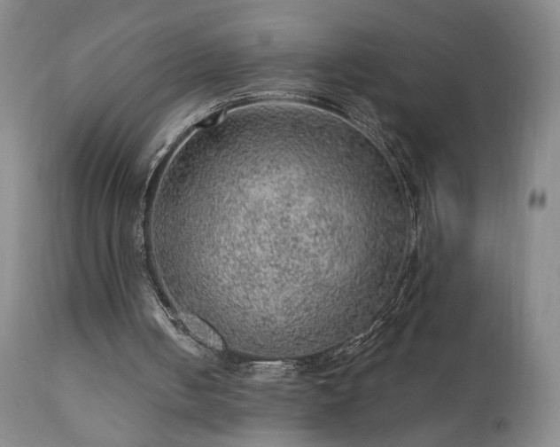 X0000111940050200907271422