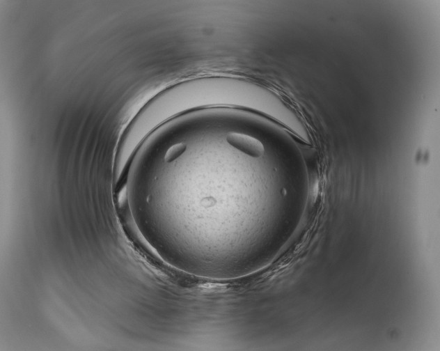 X0000111940052200907271422