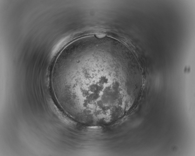 X0000111940053200907271422