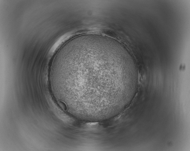 X0000111940054200907271422