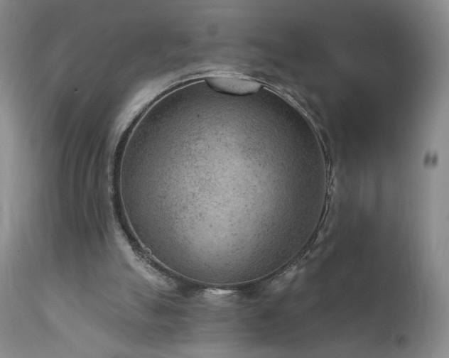 X0000111940055200907271422