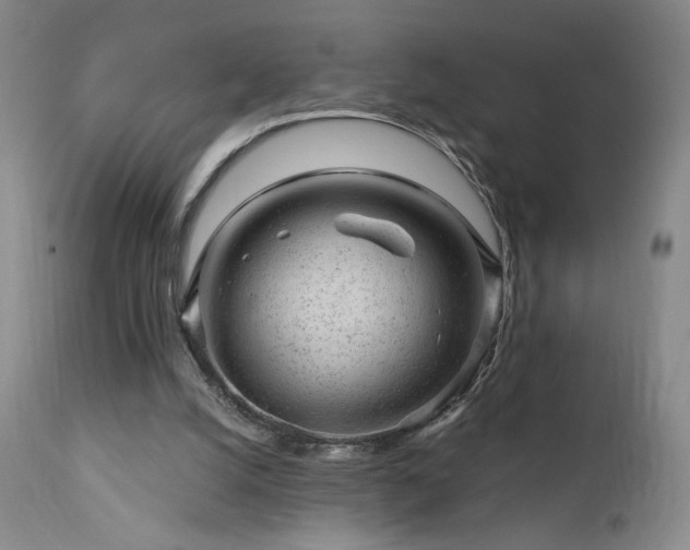 X0000111940056200907271422