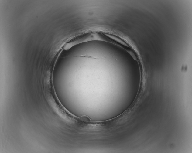 X0000111940057200907271422