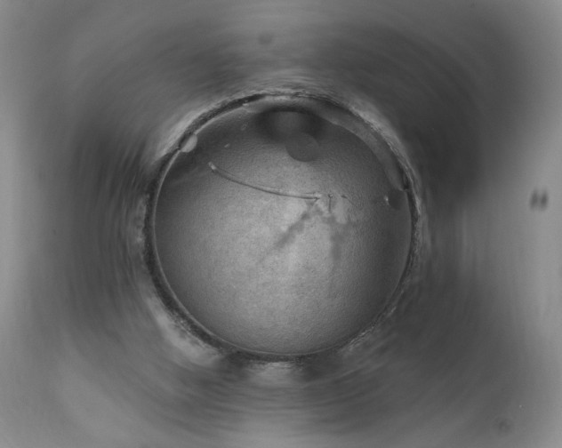 X0000111940058200907271422