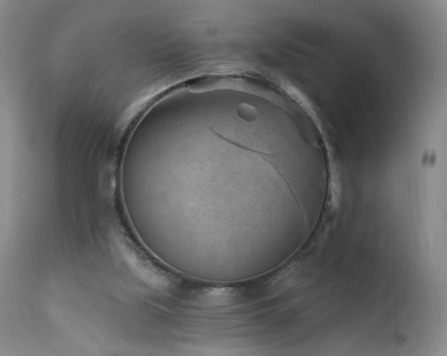 X0000111940059200907271422