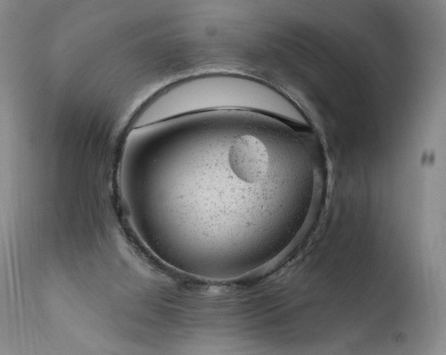 X0000111940060200907271422