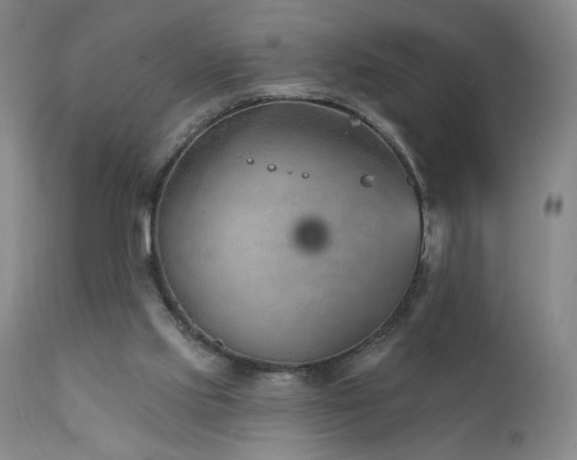 X0000111940061200907271422