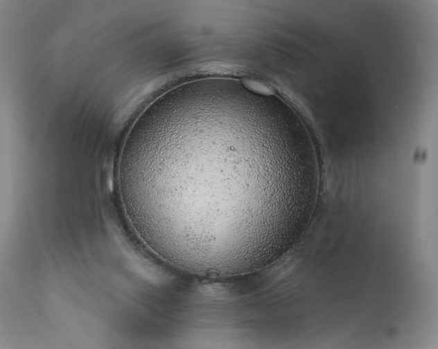 X0000111940062200907271422