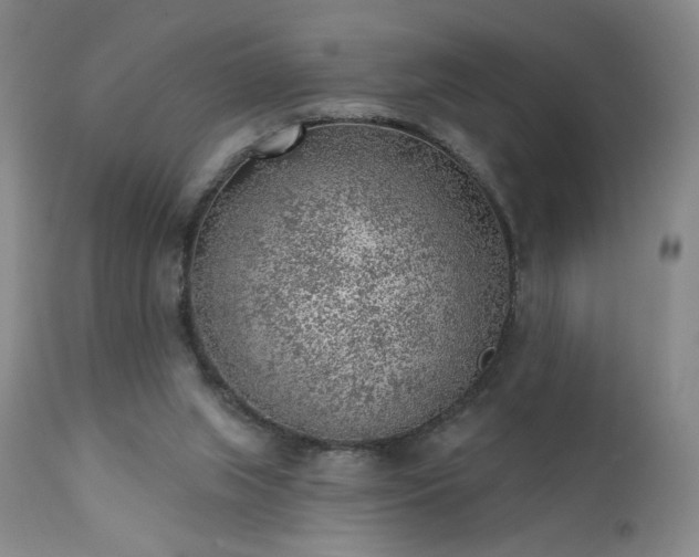 X0000111940063200907271423