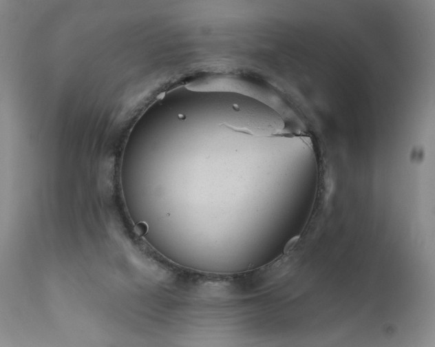 X0000111940066200907271423