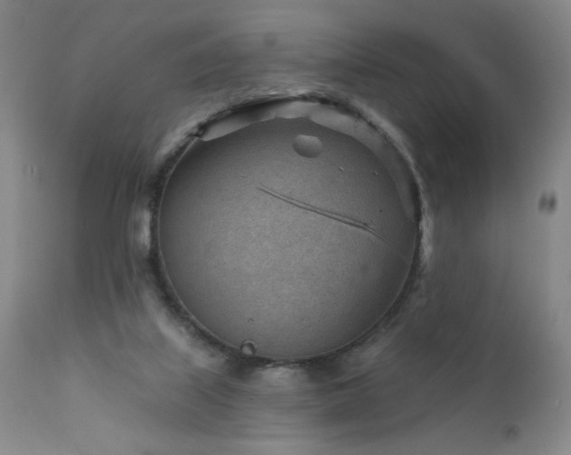 X0000111940067200907271423