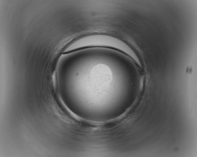 X0000111940068200907271423