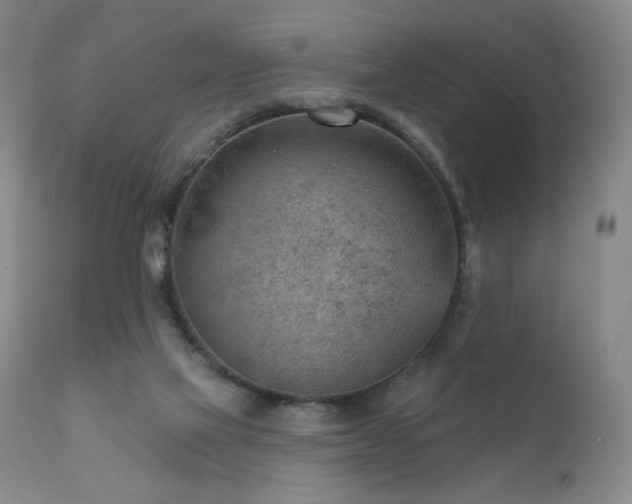 X0000111940069200907271423