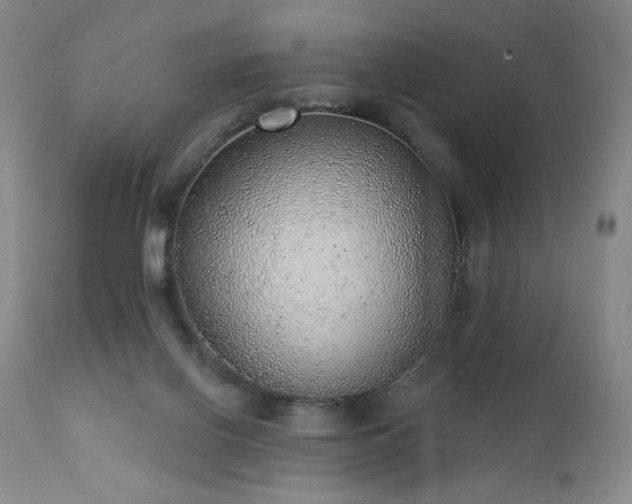 X0000111940070200907271423