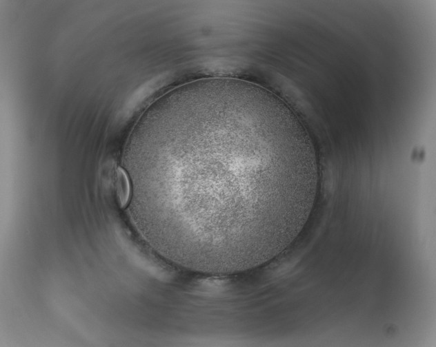 X0000111940071200907271423