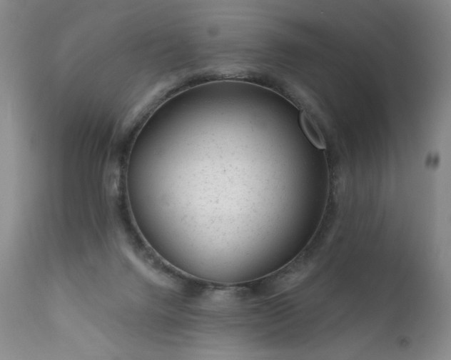 X0000111940072200907271423