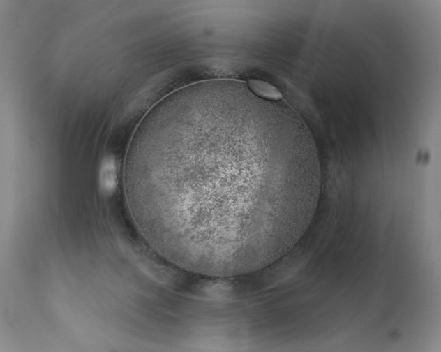 X0000111940075200907271423