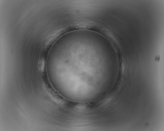 X0000111940076200907271423