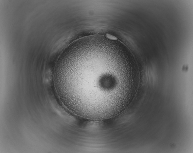 X0000111940077200907271423