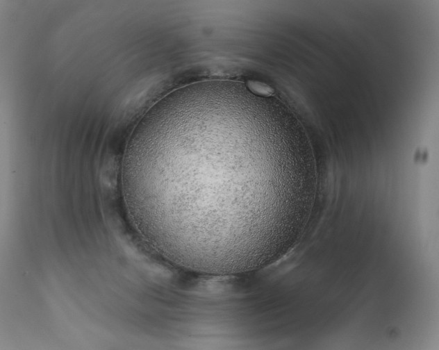 X0000111940078200907271423