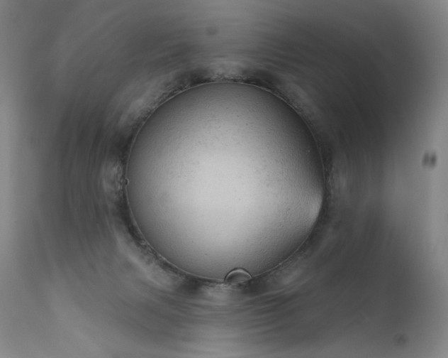 X0000111940079200907271423