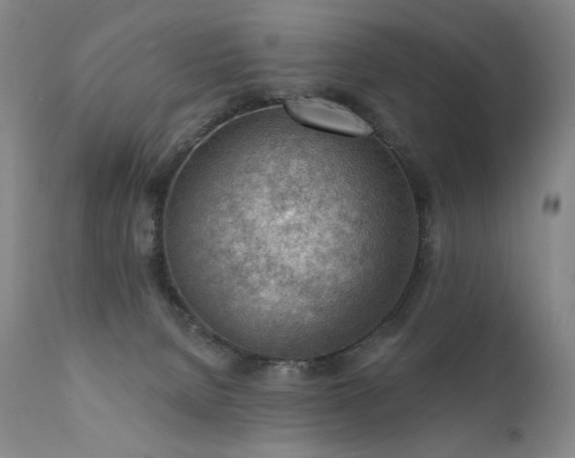 X0000111940080200907271423