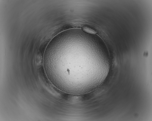 X0000111940081200907271423