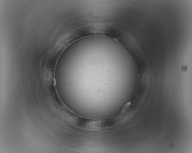 X0000111940084200907271423