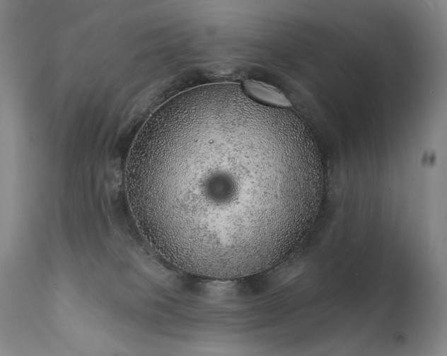 X0000111940085200907271423