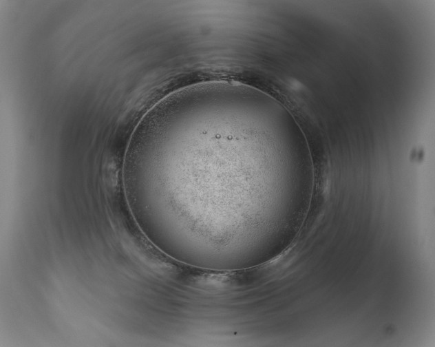 X0000111940086200907271423