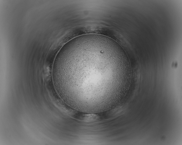 X0000111940087200907271423