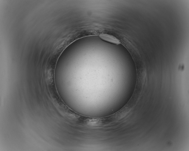 X0000111940088200907271423