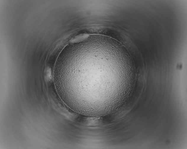 X0000111940089200907271423