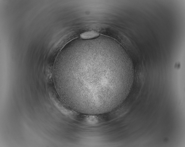 X0000111940091200907271423