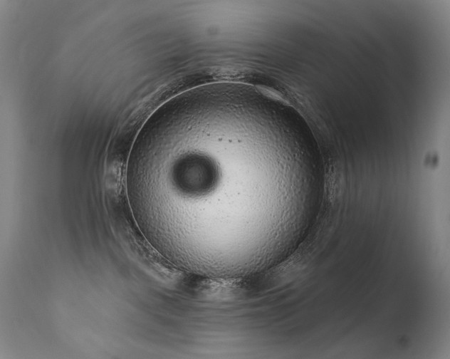 X0000111940093200907271423