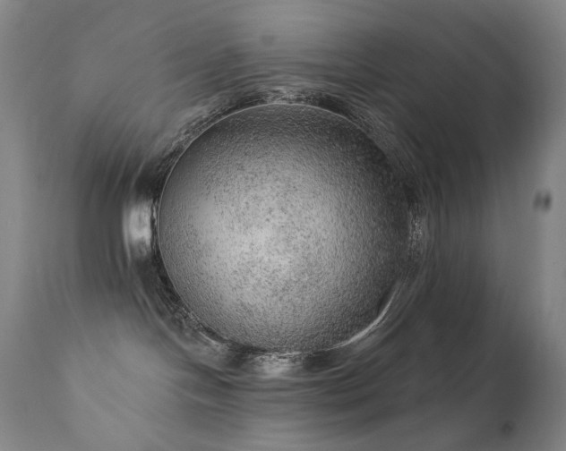 X0000111940094200907271423