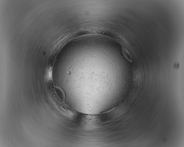 X0000111940095200907271423