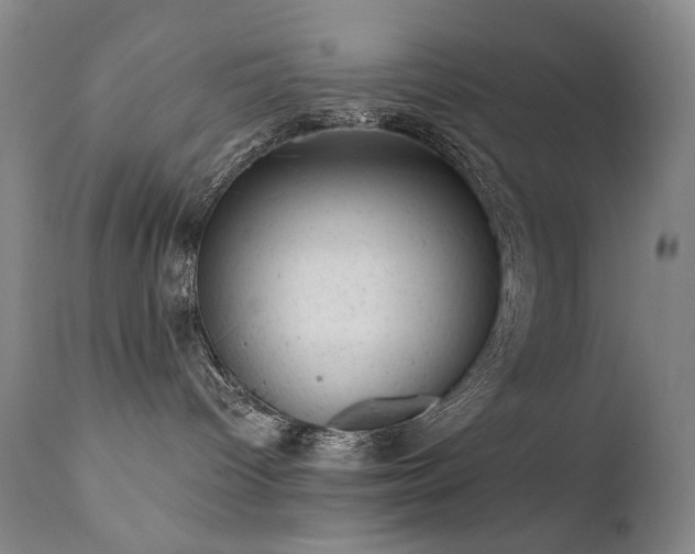 X0000111940096200907271423