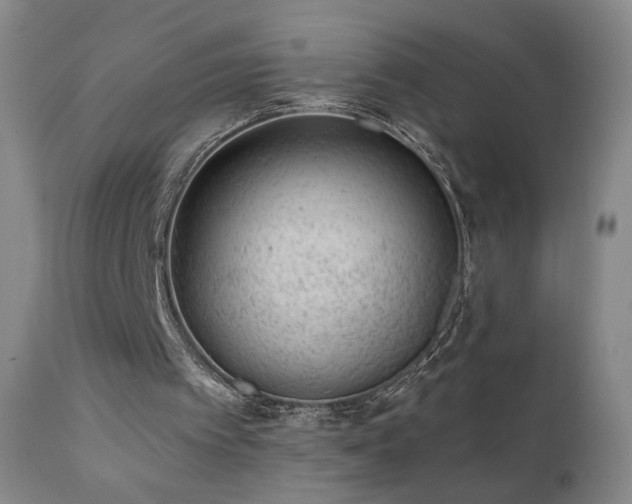 X0000111940097200907271422