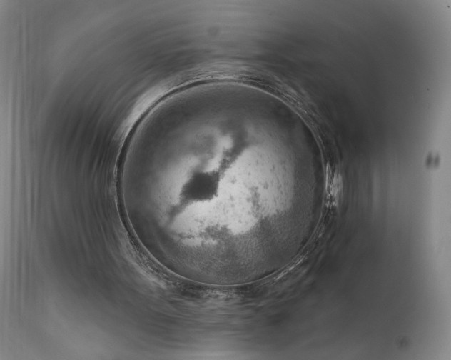 X0000111940099200907271422