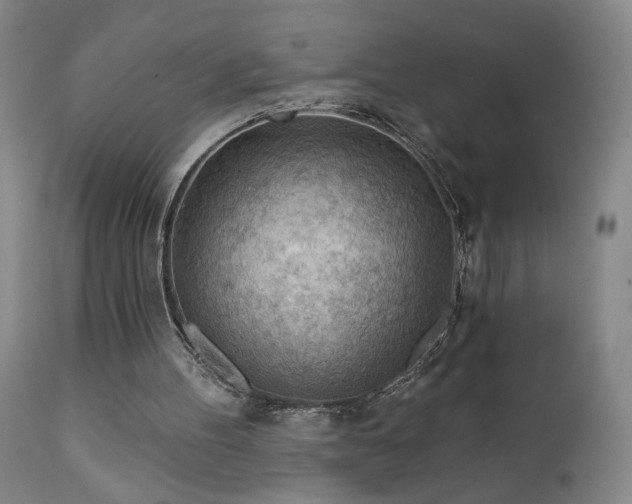 X0000111940100200907271422