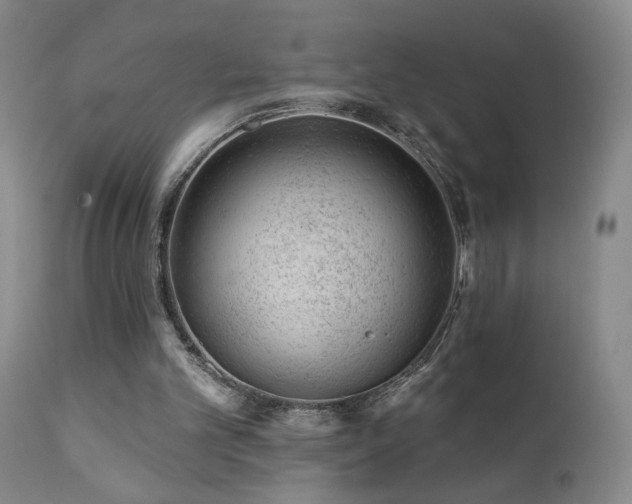 X0000111940101200907271422