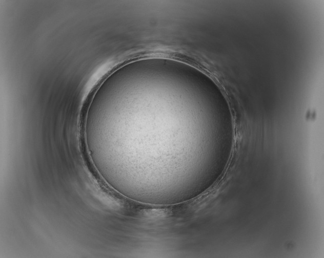 X0000111940102200907271422