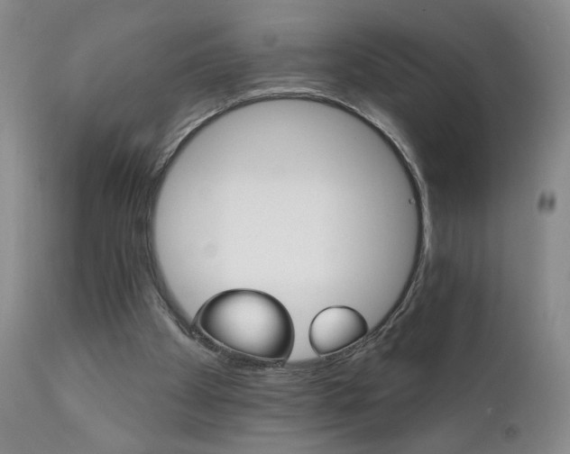 X0000111940105200907271422